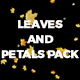 Leaves and Petals Pack - VideoHive Item for Sale