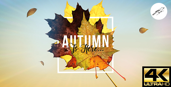 Autumn Logo Reveal 1 alt
