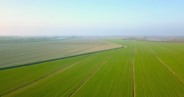 Endless Vegetable Field Plots of Green and Brown Colours