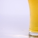 Glass of Beer Emptying on White Background - VideoHive Item for Sale