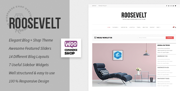 Roosevelt - Responsive WordPress Blog Theme
