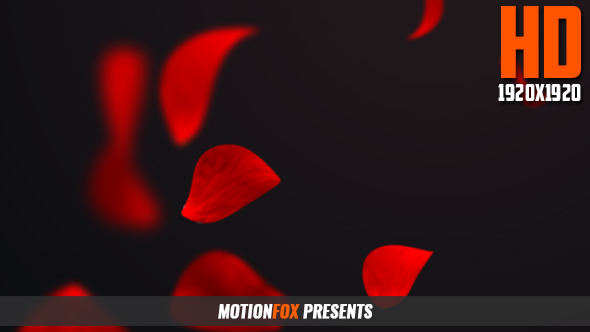Floating Rose Petals HD alt