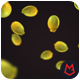 Falling Lemon HD - VideoHive Item for Sale