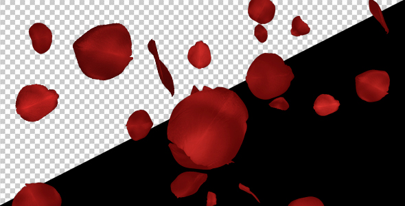 Red Rose Petals - Falling Loop alt