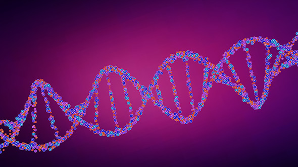 DNA