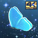 Blue Butterfly - VideoHive Item for Sale