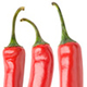 Collection of Isolated Peppers - GraphicRiver Item for Sale