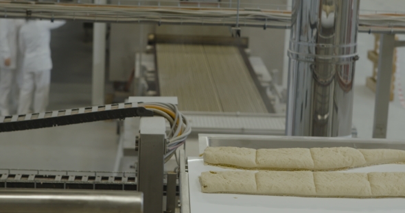 Snacks Production Dough Preparation Cutting