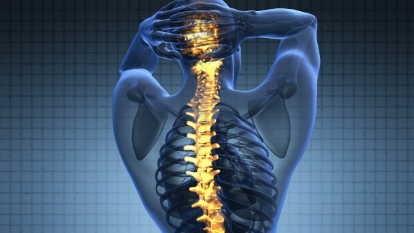 Backache in Back Bones alt