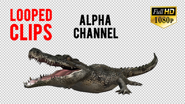 3D Crocadile Animation 2 alt