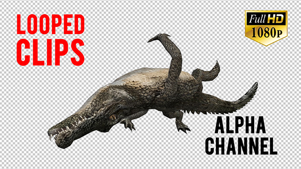 3D Crocadile Animation 3 alt