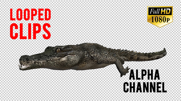 3D Crocadile Animation 4 alt