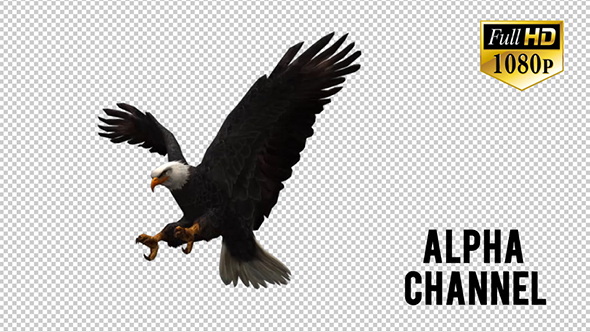 3D Eagle Animation 4