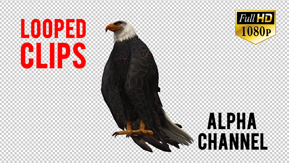 3D Eagle Animation 7 alt