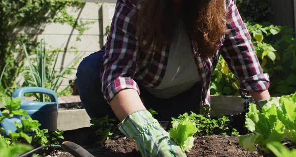 Happy caucasian woman wearing hat, gardening and smiling in garden