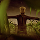 Halloween Scarecrow In A Cornfield - VideoHive Item for Sale