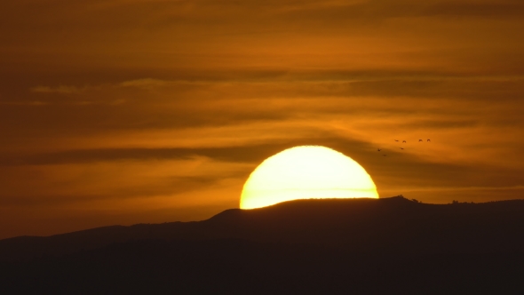 Amazing, Beautiful Fast Sunset with Duck Birds