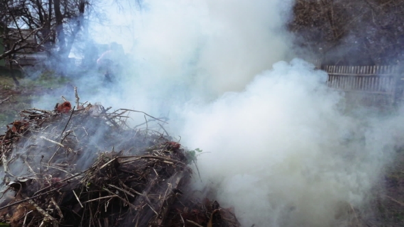 Burning and Smoking Heap of Branches and Leaves