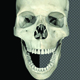 Skull - VideoHive Item for Sale