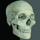 Skull Looped - VideoHive Item for Sale