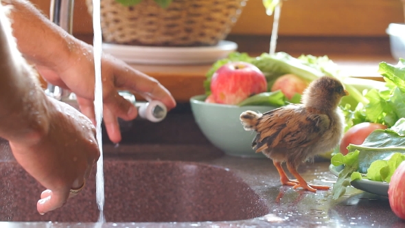 Man Washes Hands in Kitchen Sink