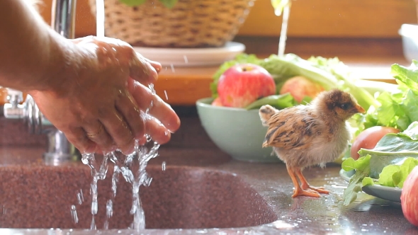 Man Washes His Hands. Washing Hands. Cleaning Hands. Hygiene.