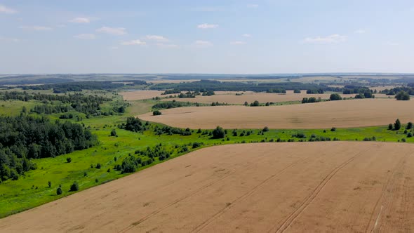 2 Agricultural Fields