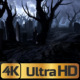 Dark Cemetery - VideoHive Item for Sale