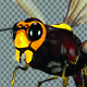 Bee - VideoHive Item for Sale