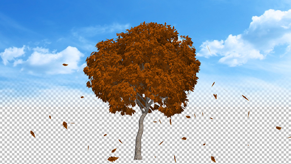 Leaves Falling Off Tree Ver.2 alt
