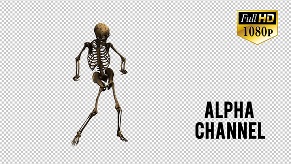 Skeleton Dance 3