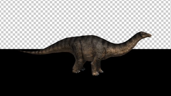 Dinosaur - Brontosaurus