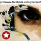 Artistic Facebook Cover Template - GraphicRiver Item for Sale