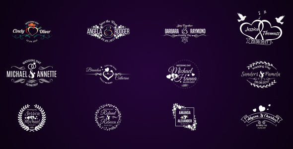 12 Wedding Titles alt