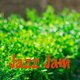 Jazz Jam Logo - AudioJungle Item for Sale