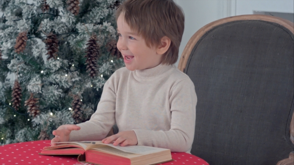 Cute Child Boy Looking at the Puctures in the Book Sitting on a Chair Near Christmas Tree
