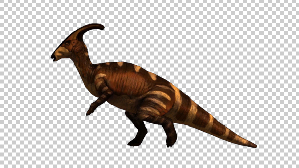 Dinosaur - Parasaurolophus