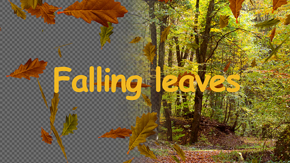 Falling Leaves alt