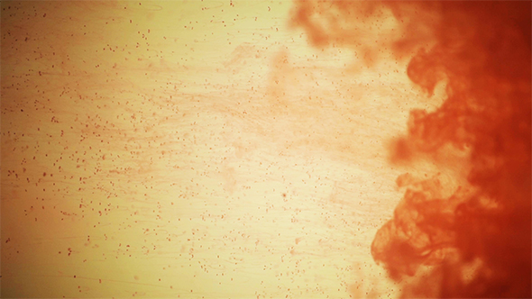 Bloody Red Ink Drops