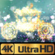Wedding Carriage - VideoHive Item for Sale