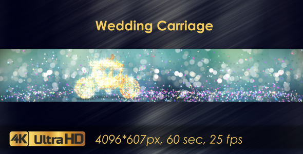 Wedding Carriage