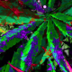 Marijuana Grunge Background 003 4K - VideoHive Item for Sale