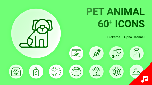 Pet Animal Dog Veterinary Animation - Line Icons and Elements