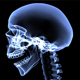 Xray Skeleton Body - VideoHive Item for Sale