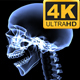 Xray Skeleton Body 4K - VideoHive Item for Sale