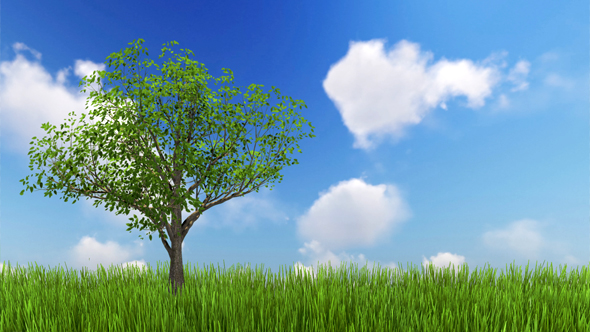 Single Tree Growing alt