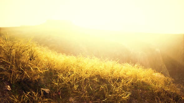 Golden Rocks and Grass in Mountains