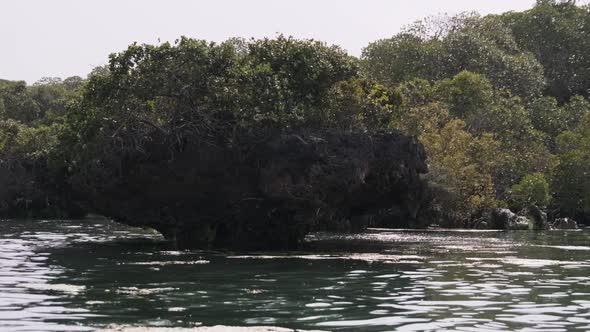Lagoon at Kwale Island in Menai Bay Mangroves with Reefs and Rocks Zanzibar
