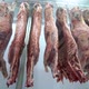 Carcass meat in cold storage room. Industrial meat production line. - VideoHive Item for Sale