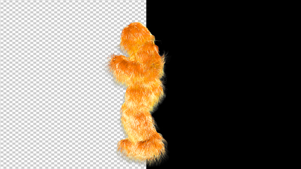 Orange Hairy Dancer alt